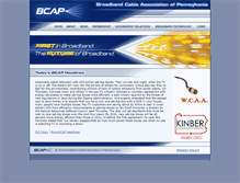Tablet Screenshot of bcapa.com