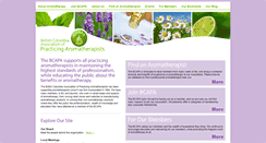 Desktop Screenshot of bcapa.org